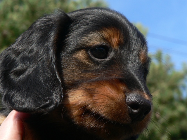 Chad 24.4.2010